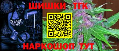 дмт Можга