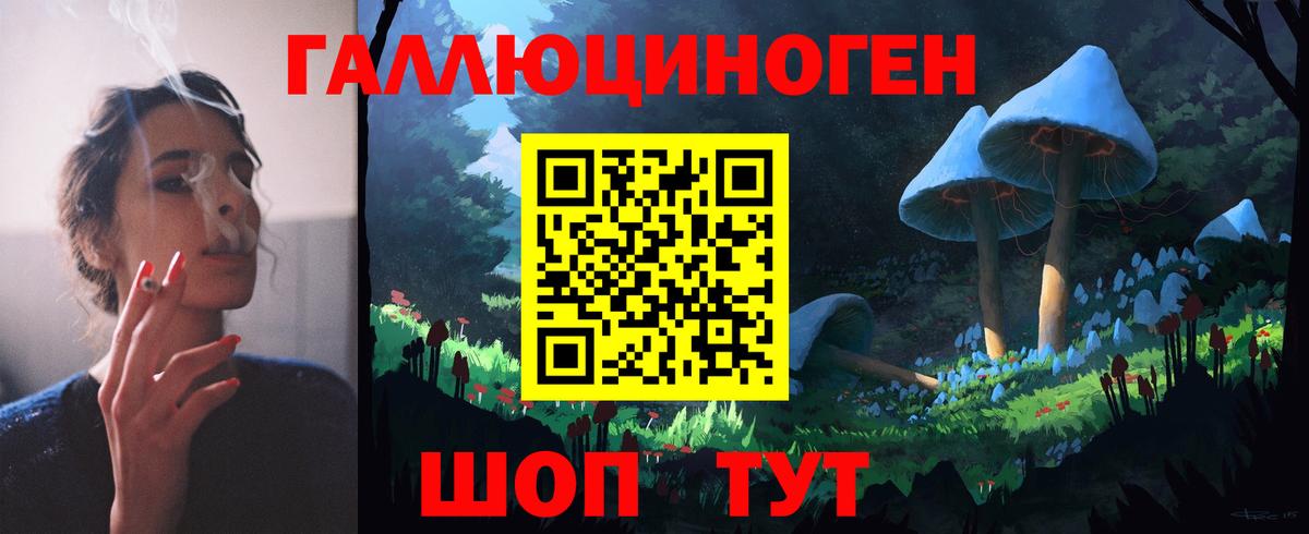 Ейск  Псилоцибиновые грибы MAGIC MUSHROOMS  Вход с VPN  Псилоцибиновые грибы прущие грибы 